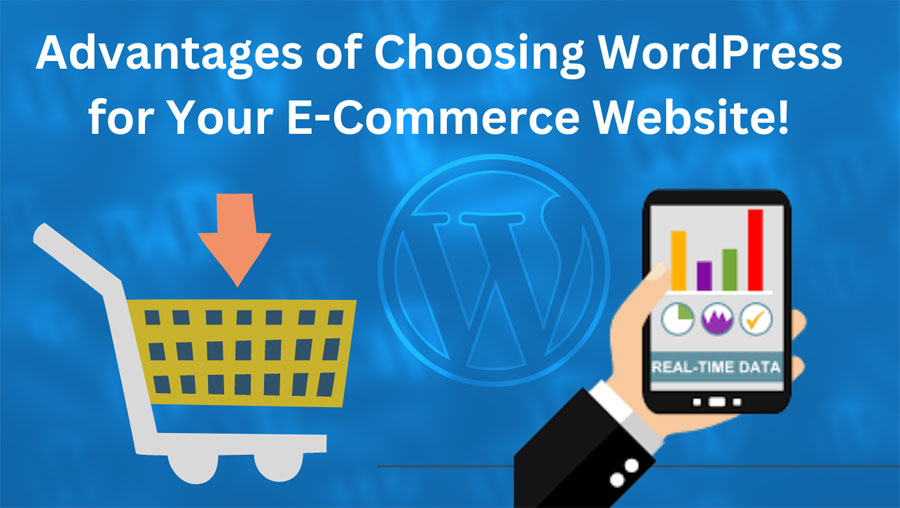 Advantages of Choosing WordPress for Your Ecommerce Website!