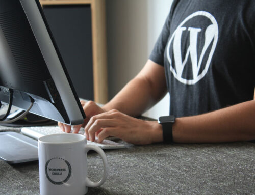 Why a Custom WordPress Theme is the Best Choice for Your Business?