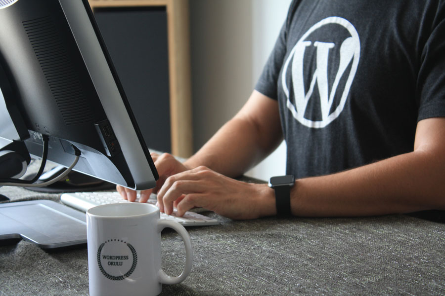 Why a Custom WordPress Theme is the Best Choice for Your Business?