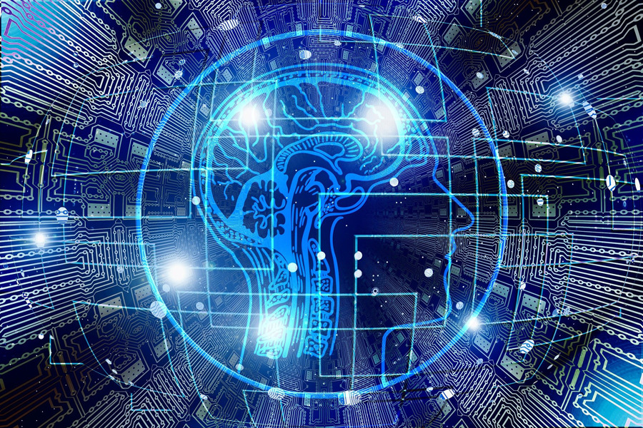 10 Reasons why Data Collection is Important for Online Businesses