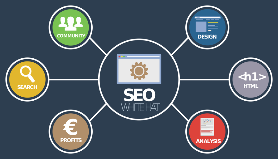 What is the Best Website Platform for SEO?