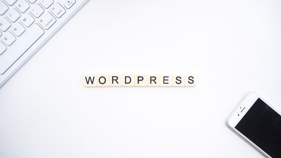 Top 9 Reasons That Make WordPress the Most User-Friendly CMS