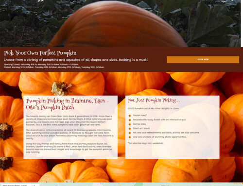 Otto’s Pumpkin Patch